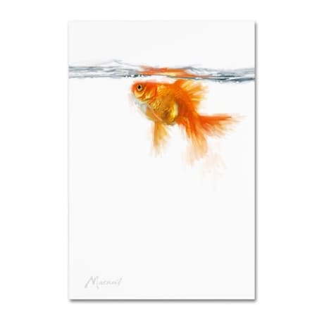 The Macneil Studio 'Goldfish' Canvas Art,16x24